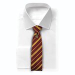 Harry Potter Tie & Metal Pin Deluxe Box Gryffindor - CR1111