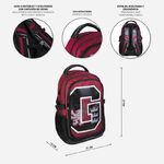 Harry Potter Gryffindor Casual Travel Backpack - CRD2100003940