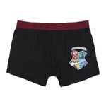 Harry Potter Boxer 2 pcs Pack - 2200007437