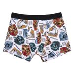 Harry Potter Boxer 2 pcs Pack - 2200007437