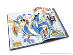 One Piece Color Walk Compendium: East Blue to Skypiea