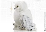 Harry Potter Interactive Plush Figure Hedwig 30 cm - NN8168