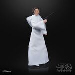 Star Wars Balck Series Princess Leia Figure - F1908