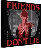 Stranger Things Friends Don't Lie Canvas Print 40x40 - DC101199