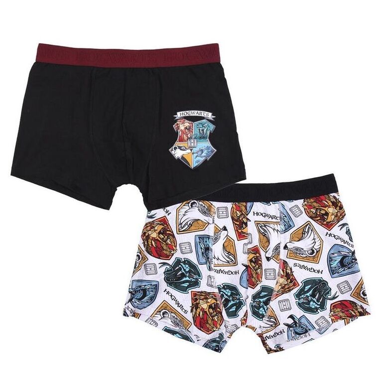 Harry Potter Boxer 2 pcs Pack - 2200007437