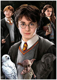 Educa Puzzle Harry Potter 2D 1000 Τεμ - 19490