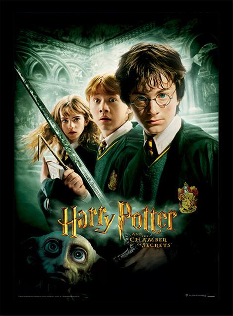 Harry Potter (Chamber Of Secrets) Wooden Framed 30 x 40cm Print - FP10684P