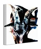 Slipknot (Iowa) Canvas Print 40x40 - DC101401