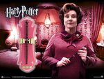 Harry Potter Dolores Umbridge Wand and wall display - NN7607