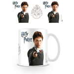 Harry Potter Mug - MG22379